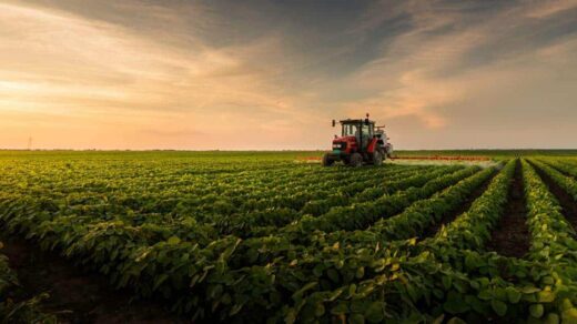 dicas para investir no agronegocio